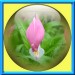 0001 jacky1 17