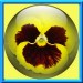 0001 jacky1 19