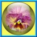 0001 jacky1 21