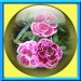 0001 jacky1 23