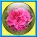 0001 jacky1 25