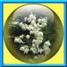0001 jacky1 27