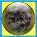0001 jacky1 33