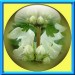 0001 jacky1 34