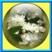 0001 jacky1 35
