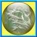 0001 jacky1 36