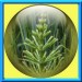 0001 jacky1 37