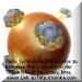 0001und1 jacky1und010