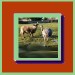 0001und1 jacky1und8