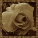 01 jacky1 13