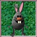 1jacky1 001