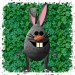 1jacky1 005