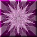31-fuenfzehn-Jacky