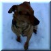 jacky1und013