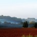 Nebel-Jacky