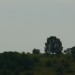 12-Landschaft-1