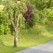 12-Landschaft-3