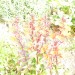 H-ISO-800-1