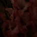 ISO-6-100-MittelGwD-2