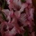 ISO-6-100-MittelGwD-3