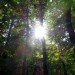 13 Herbst jacky1 1024x768