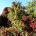 3 Herbst jacky1 1024x768