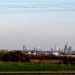 Frankfurt-2-Jacky