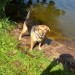 Kunstteich-1-Jacky