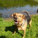 Kunstteich-Jacky