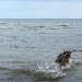 Ostsee-Jacky-2015