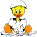 Kueken-1-Jacky
