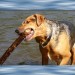 Rahmen-Jacky-Wasser-Jacky