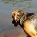 Rueckenansicht-2013-06-18-Jacky
