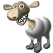 jacky1 Schaf
