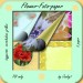 3vorschau-flower-foto-paper-jacky1