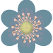 jacky1 Blume 2