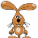 Hase-2-Jacky