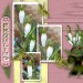 Fruehlingserwachen-Jacky