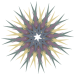 Blume-1-Jacky