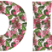 Vorschau-Blumenschrift-4-Jacky