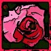 01 jacky1 Rosa rose 2