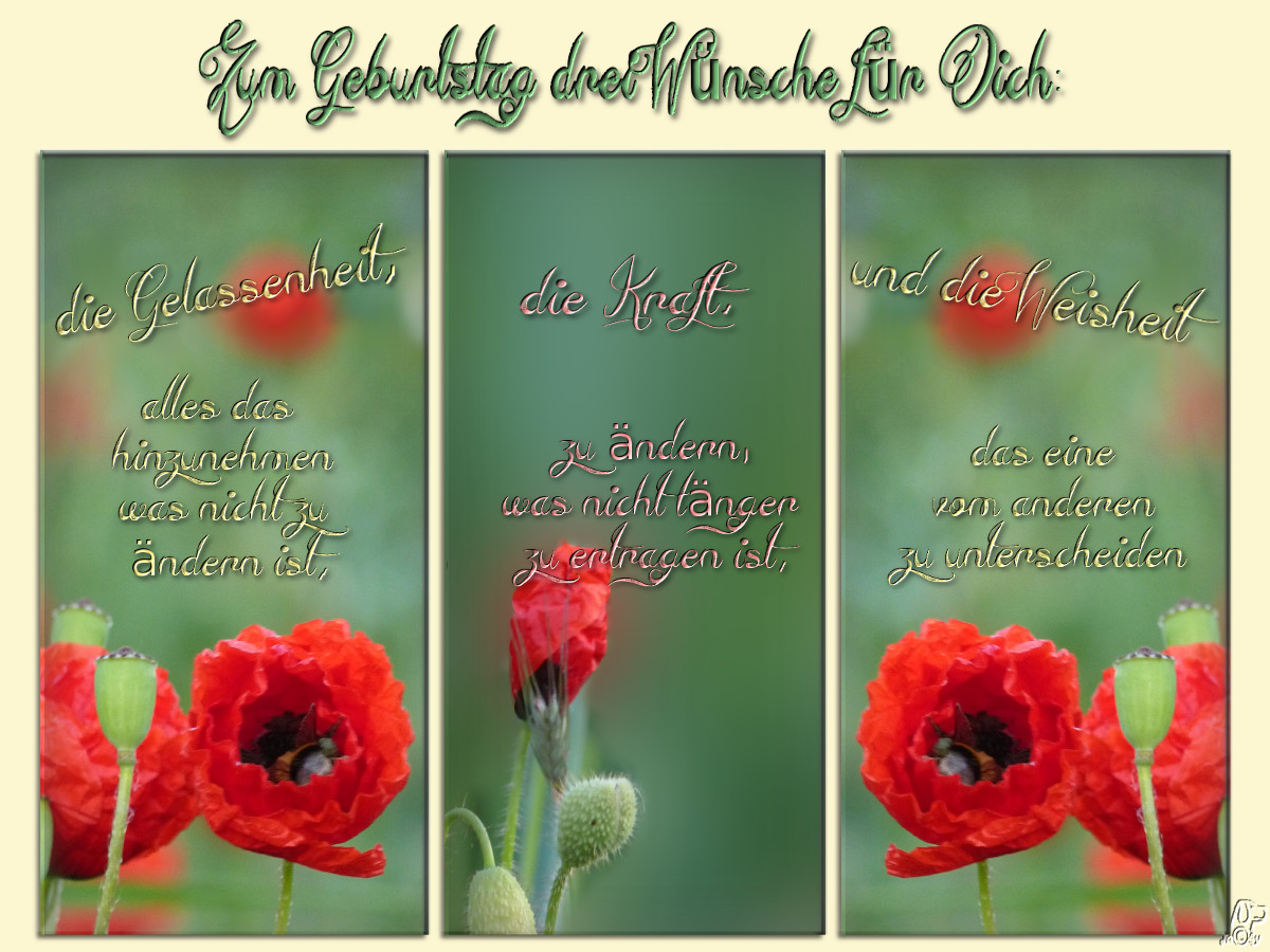 lustige geburtstagssprüche für papa