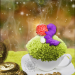 AliceimWunderland-RL