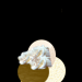 Waffeleisversuch1