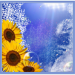 1-Sonnenkinder-fertig