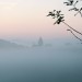 NebelMorgen