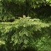 Bewoelkt Spot 069