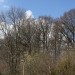 Brennweiten Baum bei uns0000002
