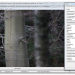 Exif Baumstaemme 1