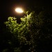 Iso 100 Spot  049